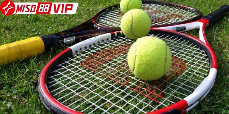 Chi tiết các bước tham gia cá cược quần vợt Miso88 