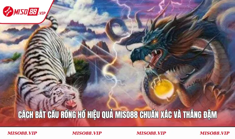 cách bắt cầu rồng hổ