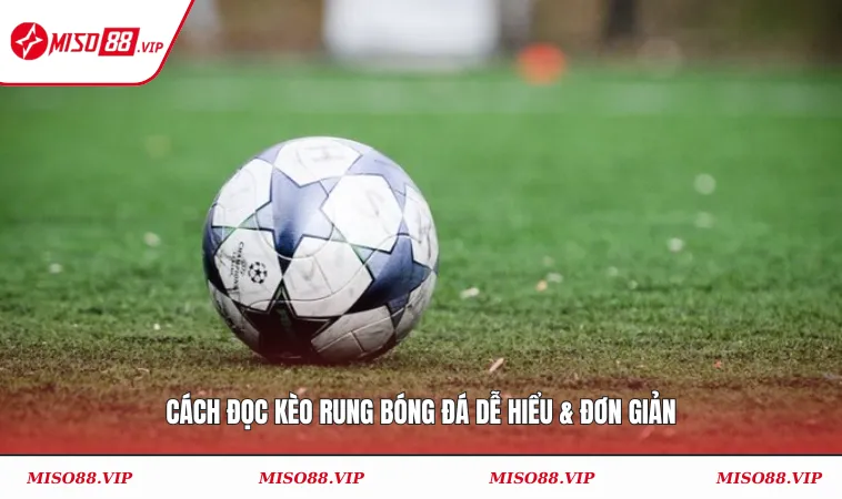 Cách Đọc Kèo Rung Bóng Đá Hiệu Quả – Mẹo Bắt Kèo Chuẩn 1 Cách đọc kèo rung bóng đá dễ hiểu & đơn giản
