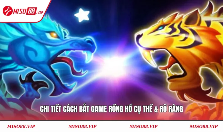 Chi tiết cách bắt game rồng hổ cụ thể & rõ ràng
