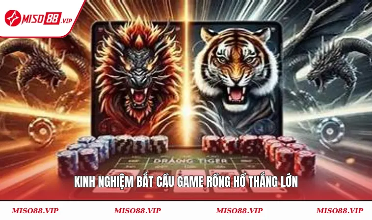 Kinh nghiệm bắt cầu game rồng hổ thắng lớn