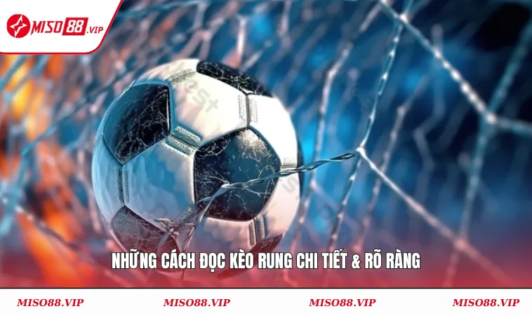 Cách Đọc Kèo Rung Bóng Đá Hiệu Quả – Mẹo Bắt Kèo Chuẩn 2 Những Cách đọc kèo rung chi tiết & rõ ràng