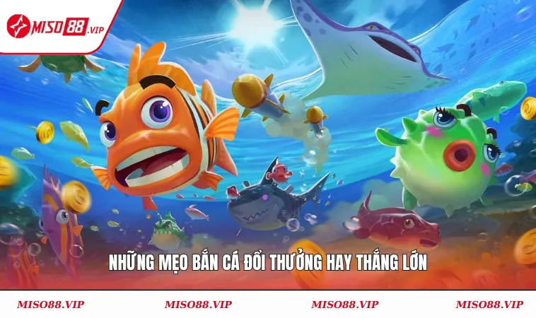 Mẹo Bắn Cá Đổi Thưởng Hiệu Quả Từ Cao Thủ & Chuyên Gia 1 Những mẹo bắn cá đổi thưởng hay thắng lớn